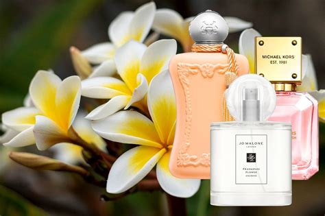 frangipani and pineapple perfume.